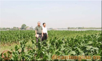 Hành trình tìm hiểu về Hoàng giáp Trần Hữu Thành (1558-1635) và đôi điều minh triết