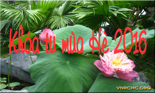 Chương trình trại hè với tên gọi