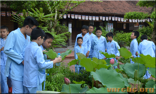 Ngày hè cùng trải nghiệm cuộc sống trong chùa